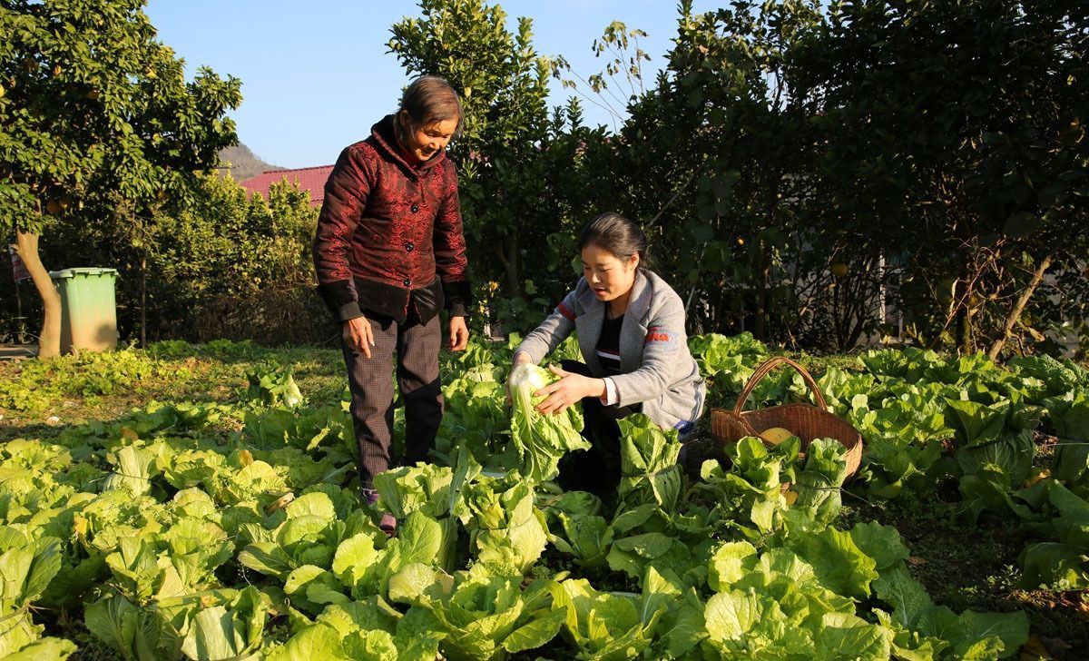 小镇|85后美女厨娘,选食材很挑剔,小镇上的人都爱吃她做的家常菜