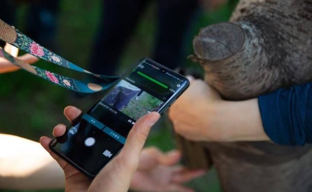  追踪|在北京追踪野生动物：15岁女孩红外相机里的城市秘影