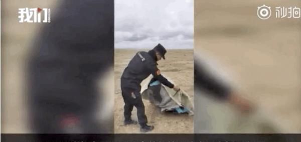  样子|青海失联女大学生被网暴：你嘴不留情的样子，比吃人的野兽更可怕