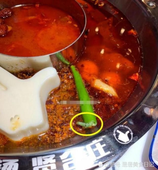 跟着|郑恺刚曝抄袭,陈赫火锅店也跟着出事?锅底直接出现毛毛虫!