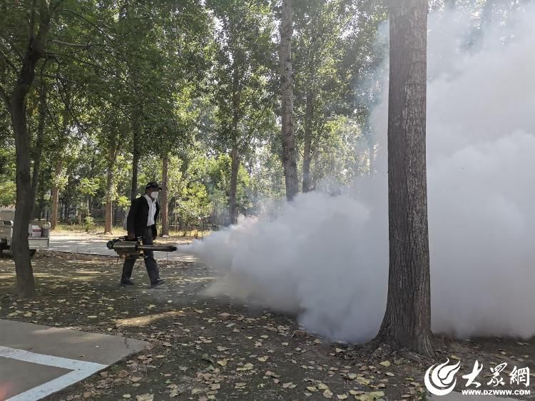 嘉祥县孟姑集镇开展排查美国白蛾专项行动