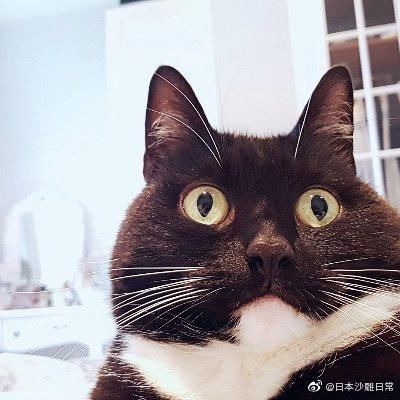  相机|老师，求求你别再用全景相机拍照了…笑趴了哈哈哈哈哈哈哈