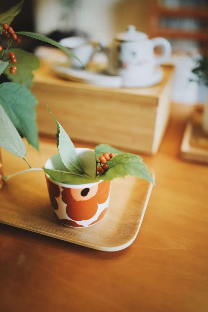  奶奶|我越来越喜欢这样的中国式陪读