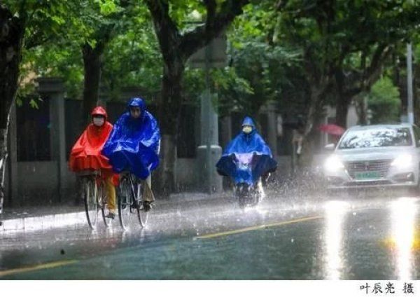 本世纪|出梅啦！上海人刚刚经历了本世纪以来最长最大的梅雨