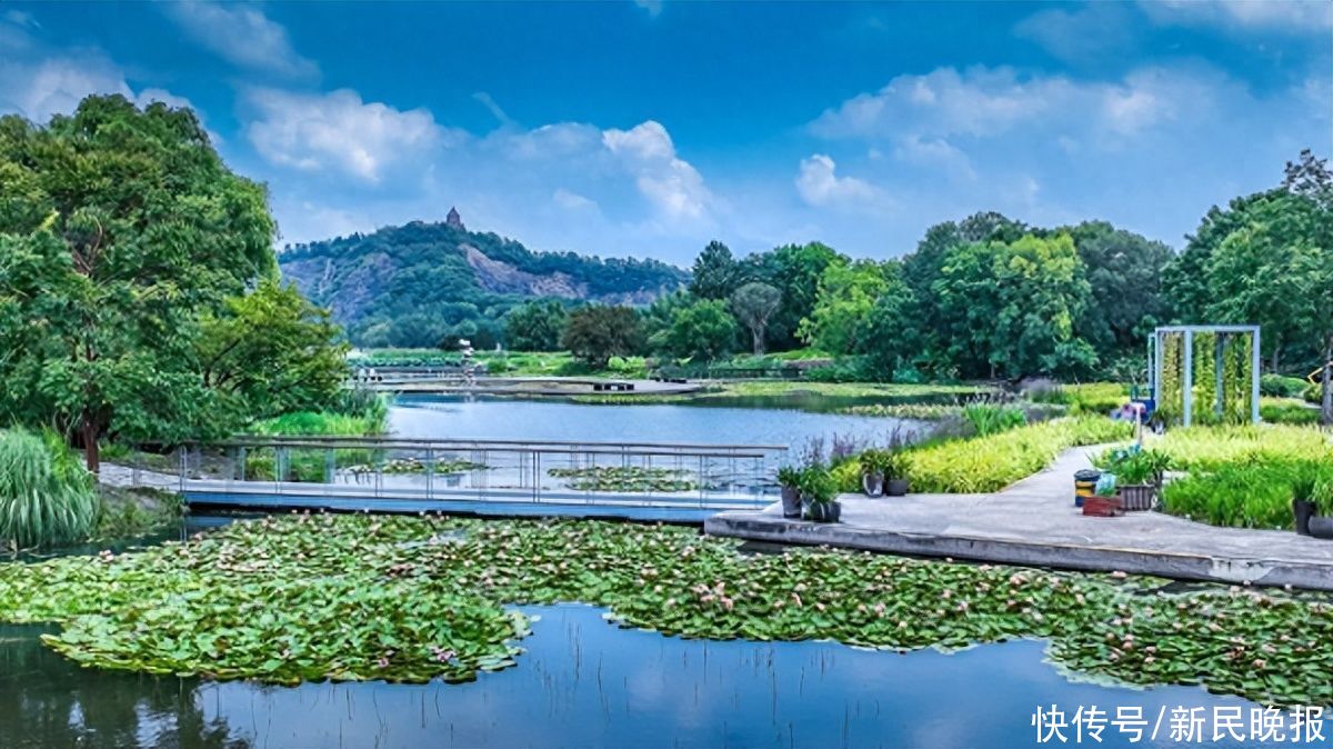 教师节将至，本周末上海这些公园邀教师免费游园