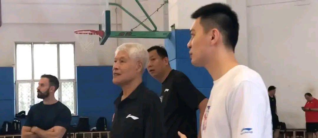 职位|一天三消息:梅奥已归队训练,杨鸣职位变动!李洪庆钦定大外援