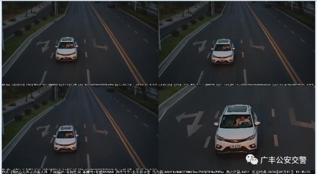 曝光|【第58期】广丰区交通违法大曝光！
