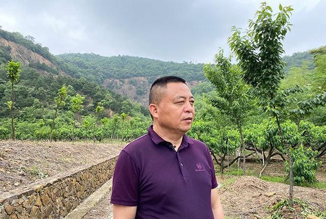  石头|从“灰脏秃”到“绿富美” 吴兴这个“石头村”大翻身