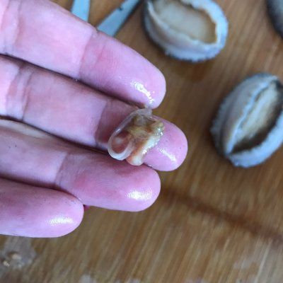 骨骼|冬天关注骨骼健康你需要这道红烧鲍鱼