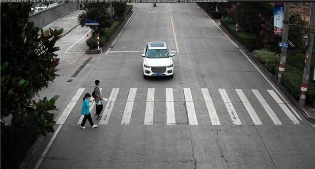 驾驶机动车违反道路|泰顺这些车主被曝光！