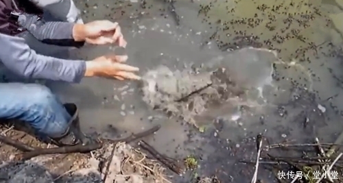 鱼竿|鱼竿拉不动,拿树干在水里搅拌,结局喜人,好在没心急的剪断鱼线