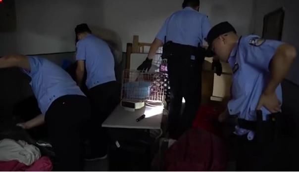 杭州|复盘杭州杀妻案始末：一个二婚重组家庭“最隐秘的角落”