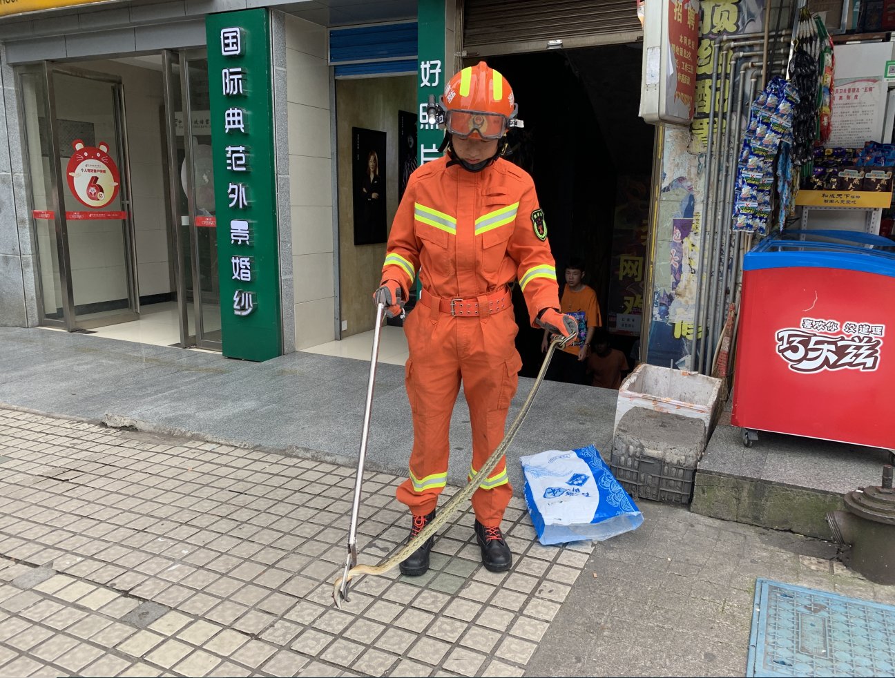  消防员|又开始了！住宅楼道惊现花蛇，消防成功捕捉