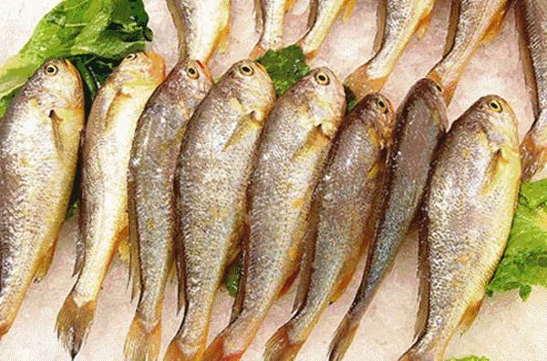 日子|开海喽,甩开膀子吃海鲜的日子来了!这样吃海鲜最安全!