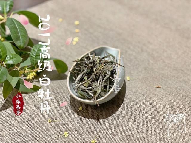 茶客|这个存茶方法老茶客都爱用，学会这几招，红茶、白茶、岩茶随便存