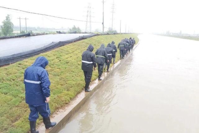 升级|升级预警!防汛,栖霞在行动!