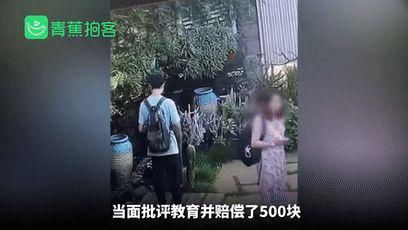 女子|景区内女子做了这事,网友怒了…