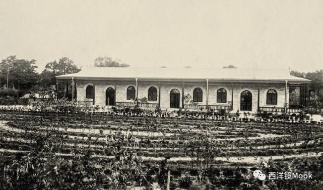  院子|111年前的北京动物园旧影