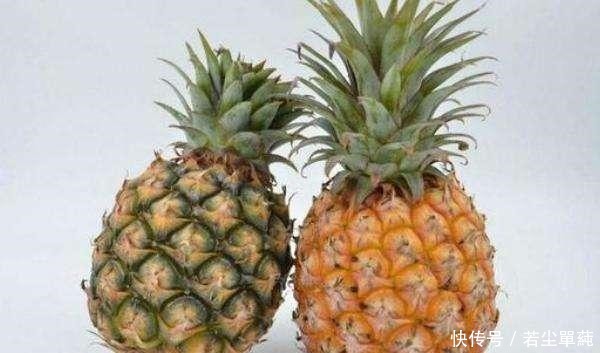 分不清楚|凤梨和菠萝总是傻傻分不清楚购买时,看准这一点,不怕再被骗