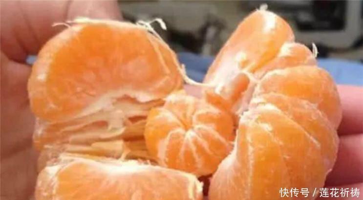 双黄|吃货“最幸运”的时刻,双黄蛋不算啥,看到最后1种比捡钱还开心