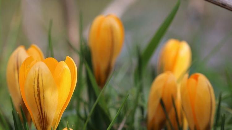 上旬|8月上旬, 深情被温柔以待的四生肖, 最美好的爱情会不期而遇