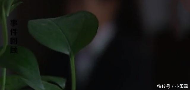 冷落|难忍丈夫冷落,富婆网聊“亲弟弟”:一天不聊会就受不了