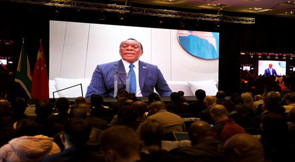 中南新能源投资合作大会在南非成功举行插图6