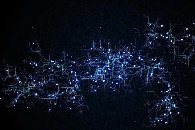 深圳|城市向何处去?深圳“HAT”正在给出自己的答案