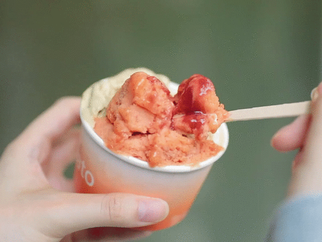  足足|2020魔都gelato超全大测评，足足28款口味上榜!