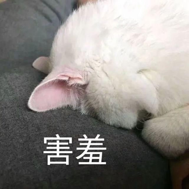  茶艺妆|茶艺课堂 | 姐姐，姐姐，什么是绿茶呀~？