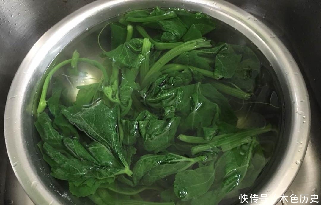 城里|这菜农村经常丢掉,城里却是个宝,三天两头吃一次,大肚腩不见了