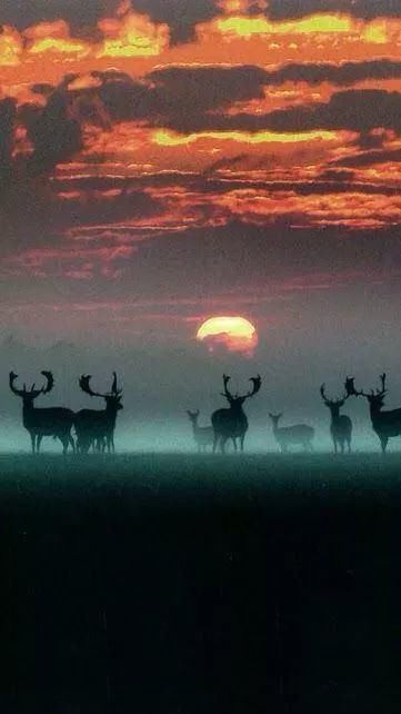 难得一见|奇妙风光，难得一见