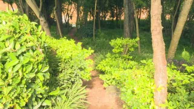 文明|景东县“美丽县城”建设不文明行为曝光！！！