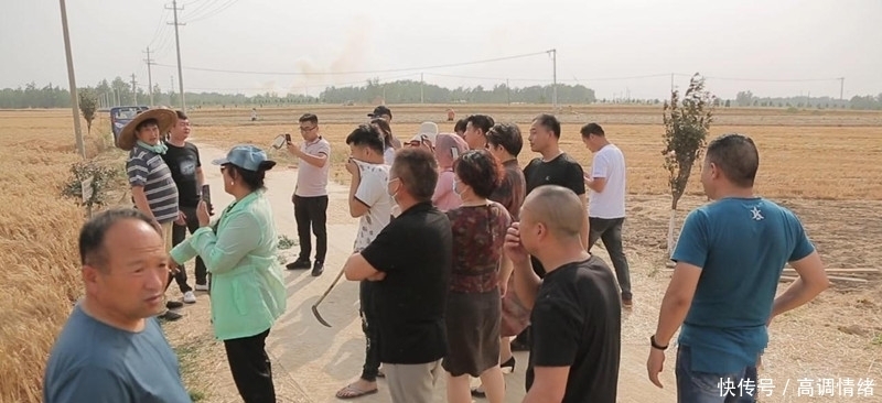 揭露|央视主持不再沉默,揭露朱之文家庭真实情况