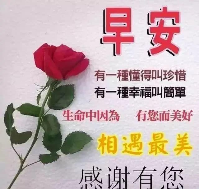 早安|温馨的早上好问候语动态鲜花图片带字 最美早安问候温馨图片带字