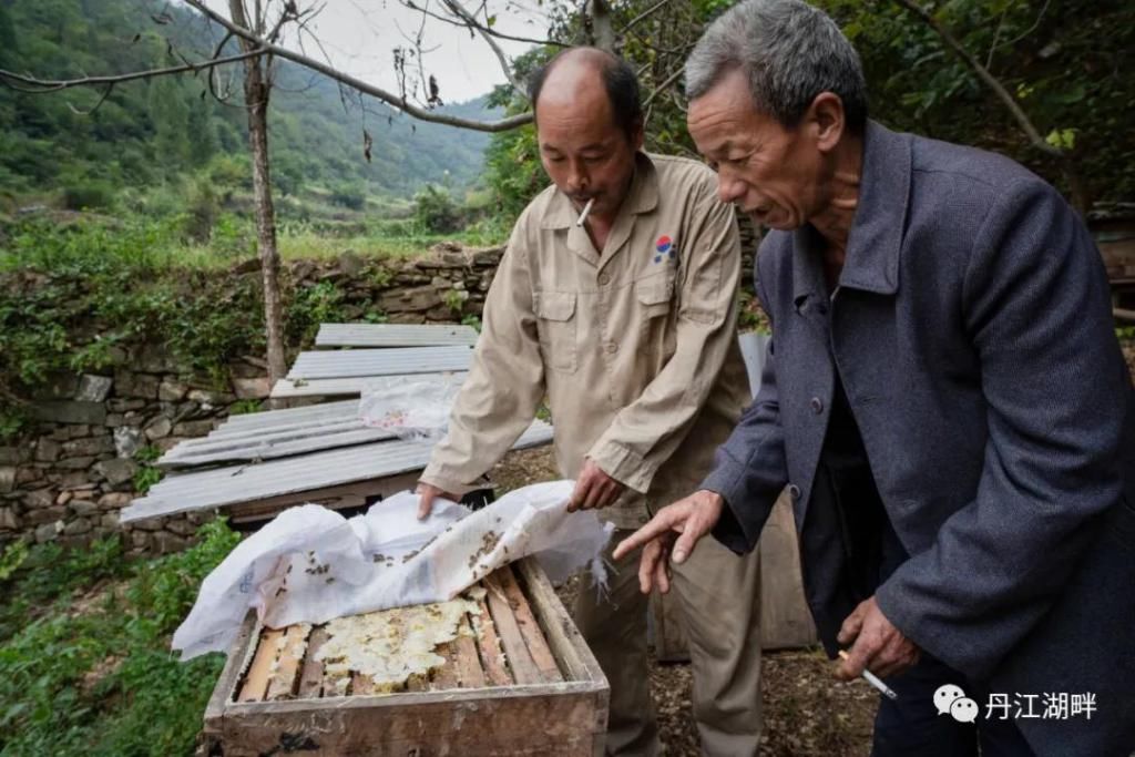 淅川|淅川脱贫档案解密:贾小民的脱贫之路