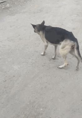 网红圈|请这些旅游景点立刻退出网红圈