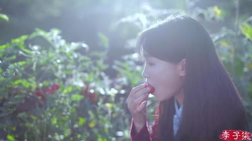 拍进|李子柒暴露本性！乱七八糟的面也拍进视频