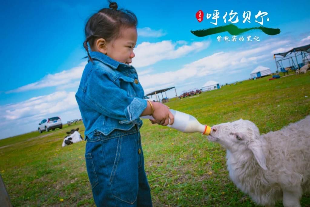  攻略|温情夏日，自驾呼伦贝尔大草原攻略