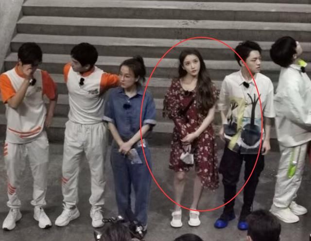  不错|《元气满满的哥哥》定档，杨洋黄明昊加盟不说，唯一女嘉宾引热议