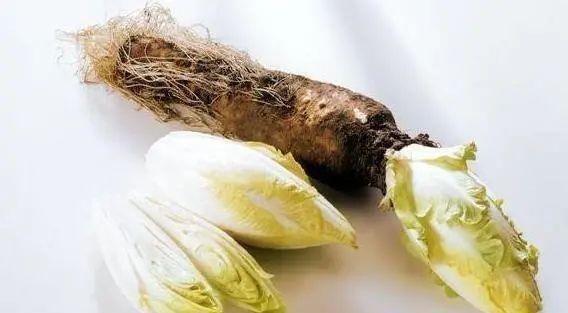 查出|夫妻先后查出肝癌，提醒：想要肝好，这种油最好一口别碰！