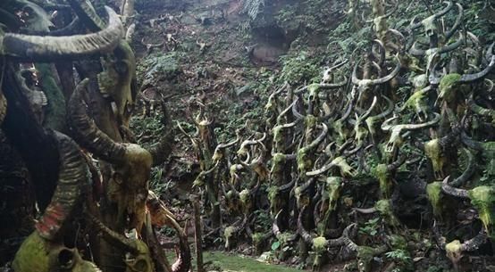  完整|全国仅有50万人口，中国最完整的原始部落，你知道在哪里吗