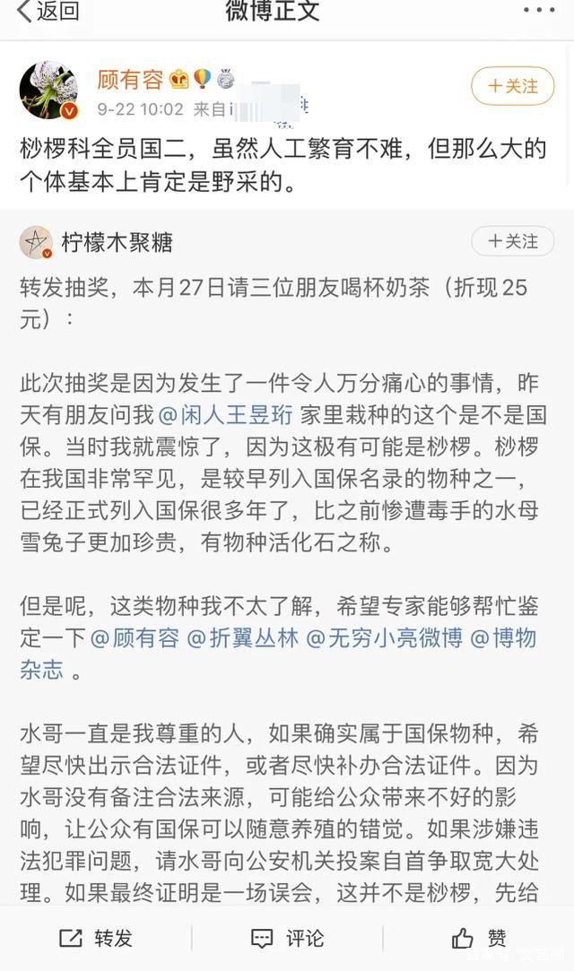  极限挑战|《最强大脑》水哥被扒私养国家二级保护植物，专家否定人工繁育