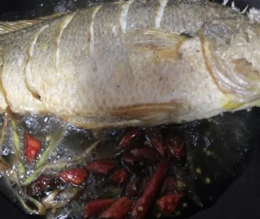  红烧|红烧大黄鱼，鱼鲜鲜嫩，汤汁丰富