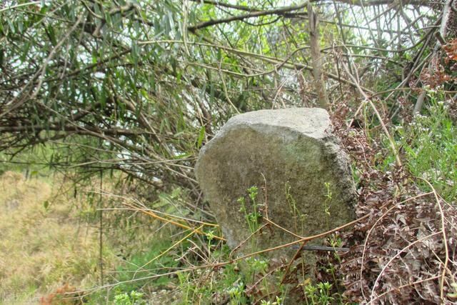 子孙|“坟头塌消子孙稀，坟上无草绝家资”指啥？快看看吧，别被笑话了