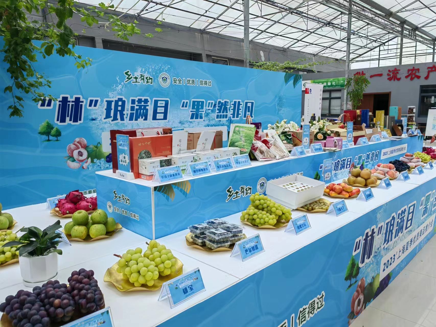 品上海鲜果，爱上海味道，22条郊区“林果游览路线”今发布