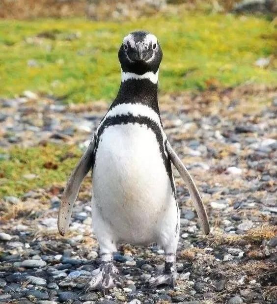 你想不到|游历品鉴|世界最美旅行国度第1名,鲜有国人踏足,但此生必须攒钱去!