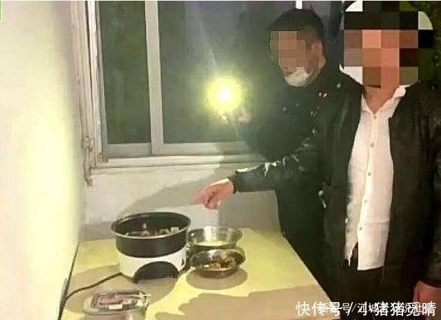 只黑天鹅|网红鲤鱼被偷捕,网红黑天鹅进高压锅,他们被拘后的理由让人无语