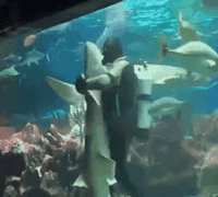 搞笑|搞笑GIF:妹子,不管你的球技怎么样,光看你这样的姿势我必须给你满分