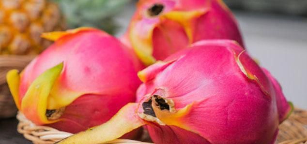 火龙果|众多火龙果种类中的红心火龙果和白心火龙果，哪个营养价值更高？